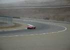 races 018